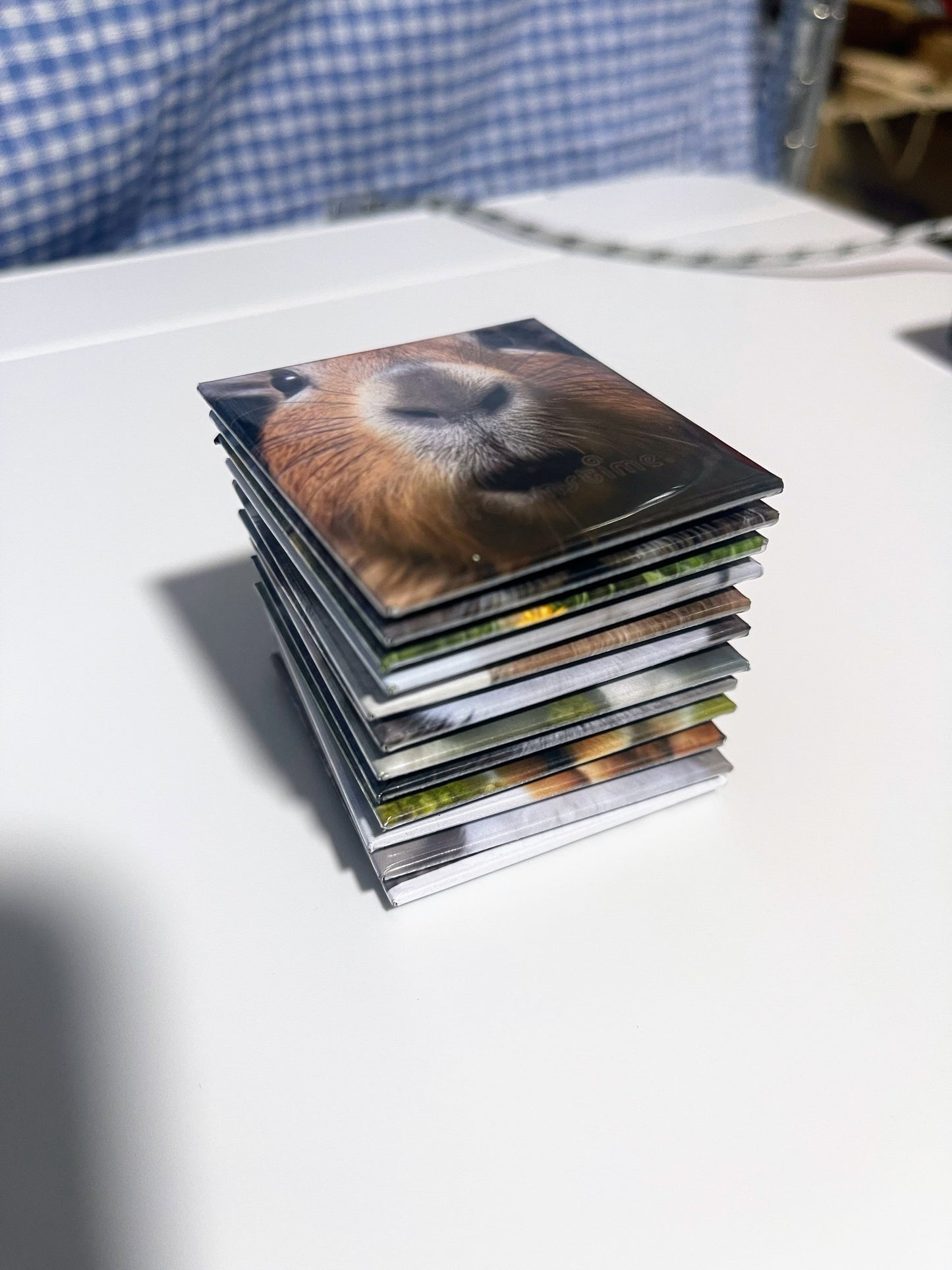 SnapMemory™ – 24-Piece Custom Photo Magnet Set 🚚 FREE NZ shipping included