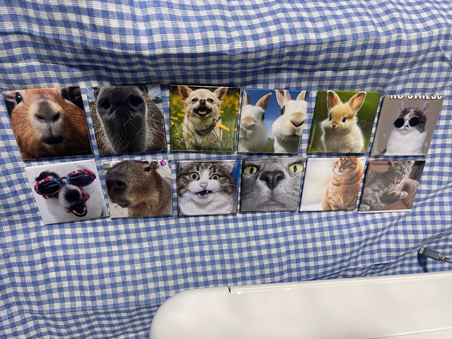 SnapMemory™ – 24-Piece Custom Photo Magnet Set 🚚 FREE NZ shipping included