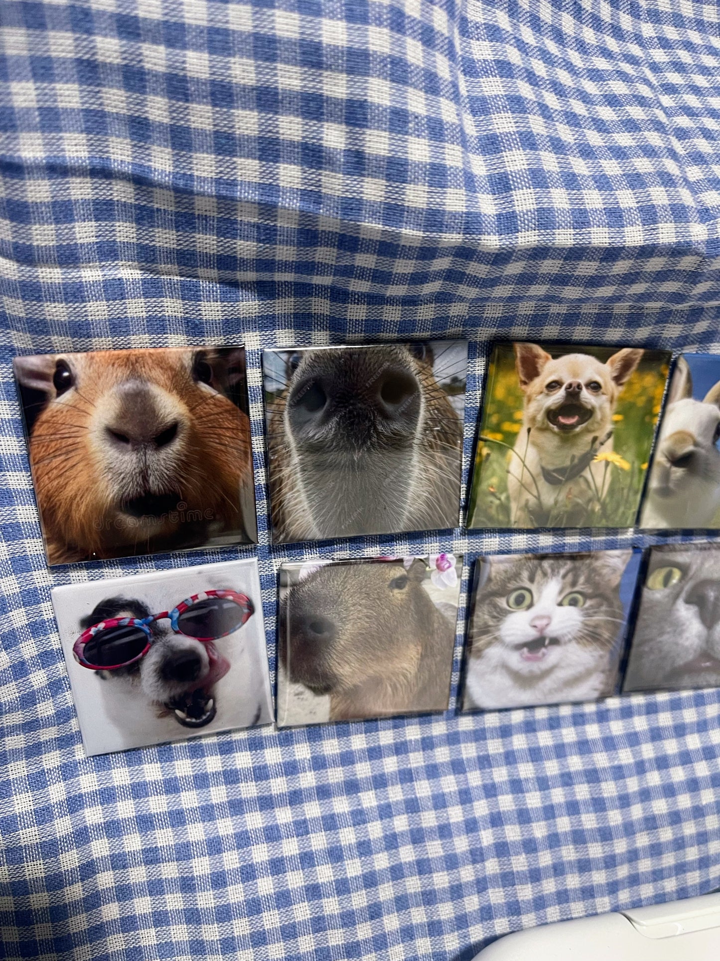 SnapMemory™ – 24-Piece Custom Photo Magnet Set 🚚 FREE NZ shipping included