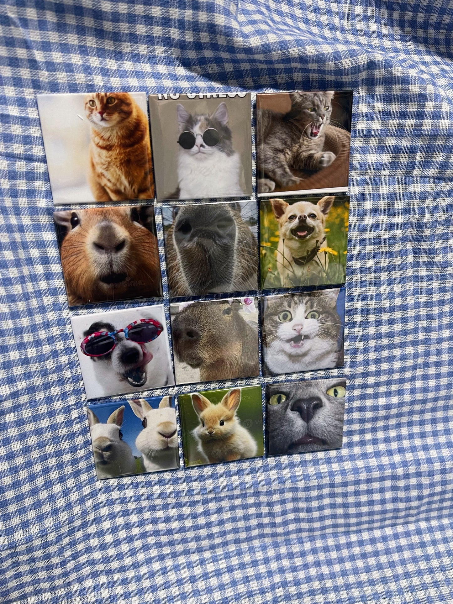 SnapMemory™ – 24-Piece Custom Photo Magnet Set 🚚 FREE NZ shipping included