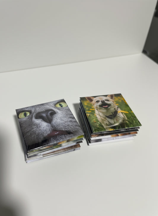 SnapMemory™ Mini Gift Magnet – Custom Photo Magnet (1 pc, Individually Packed)