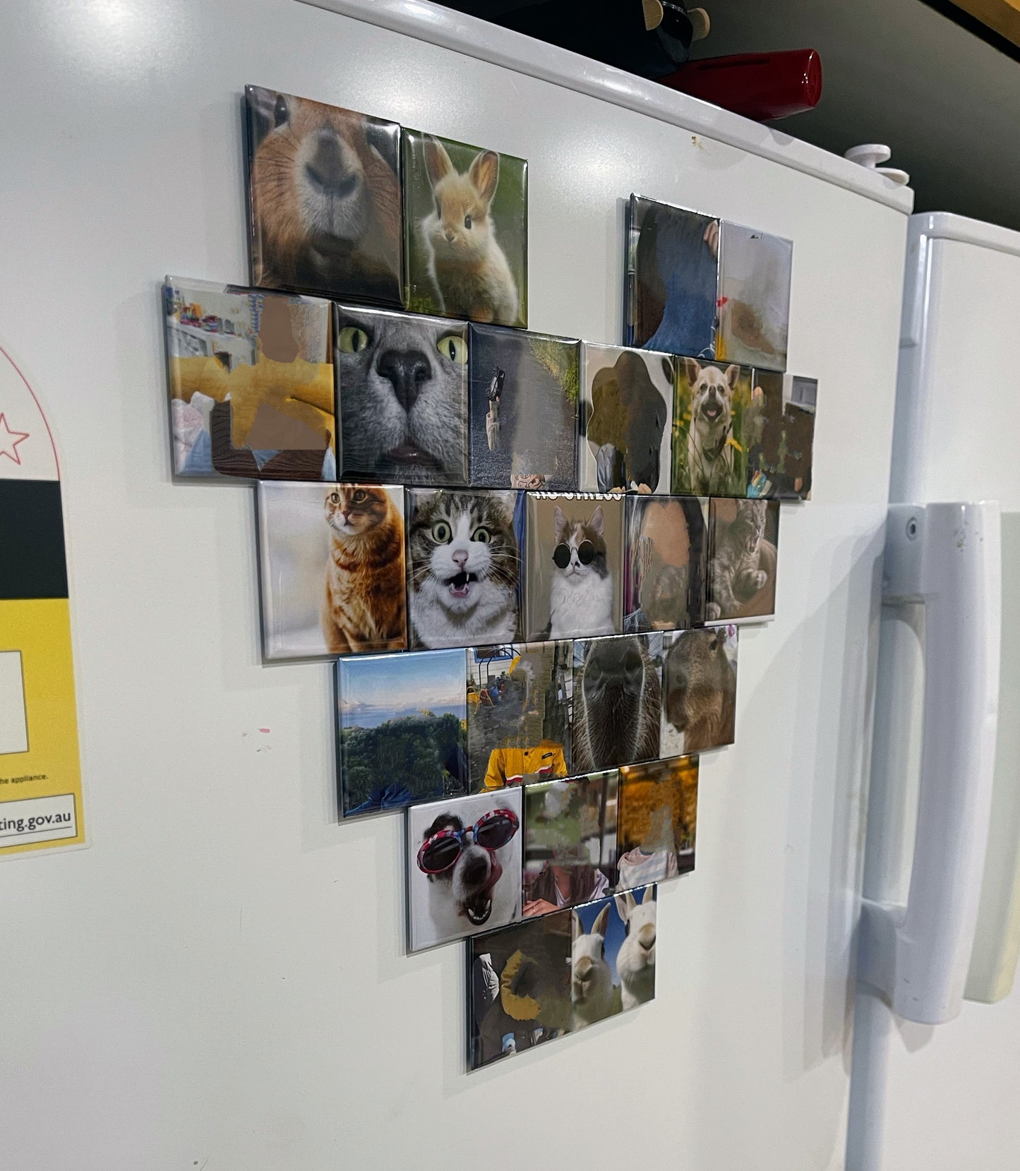 SnapMemory™ – 24-Piece Custom Photo Magnet Set 🚚 FREE NZ shipping included