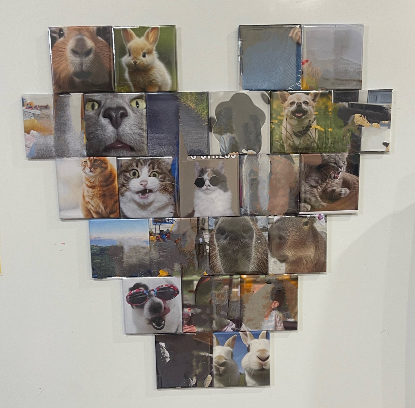 SnapMemory™ – 24-Piece Custom Photo Magnet Set 🚚 FREE NZ shipping included