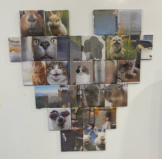 SnapMemory™ – 24-Piece Custom Photo Magnet Set 🚚 FREE NZ shipping included