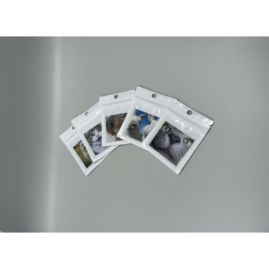 SnapMemory™ Mini Gift Magnet – Custom Photo Magnet (1 pc, Individually Packed)