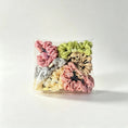 Load image into Gallery viewer, Retail Mini Scrunchie Set 6 Pack – Soft Neutral Mix
